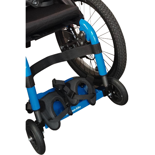 MT Ankle Harness-3 MT Ankle Harness-3