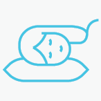 Website Graphics - Sleep-2 Website Graphics - Sleep-2